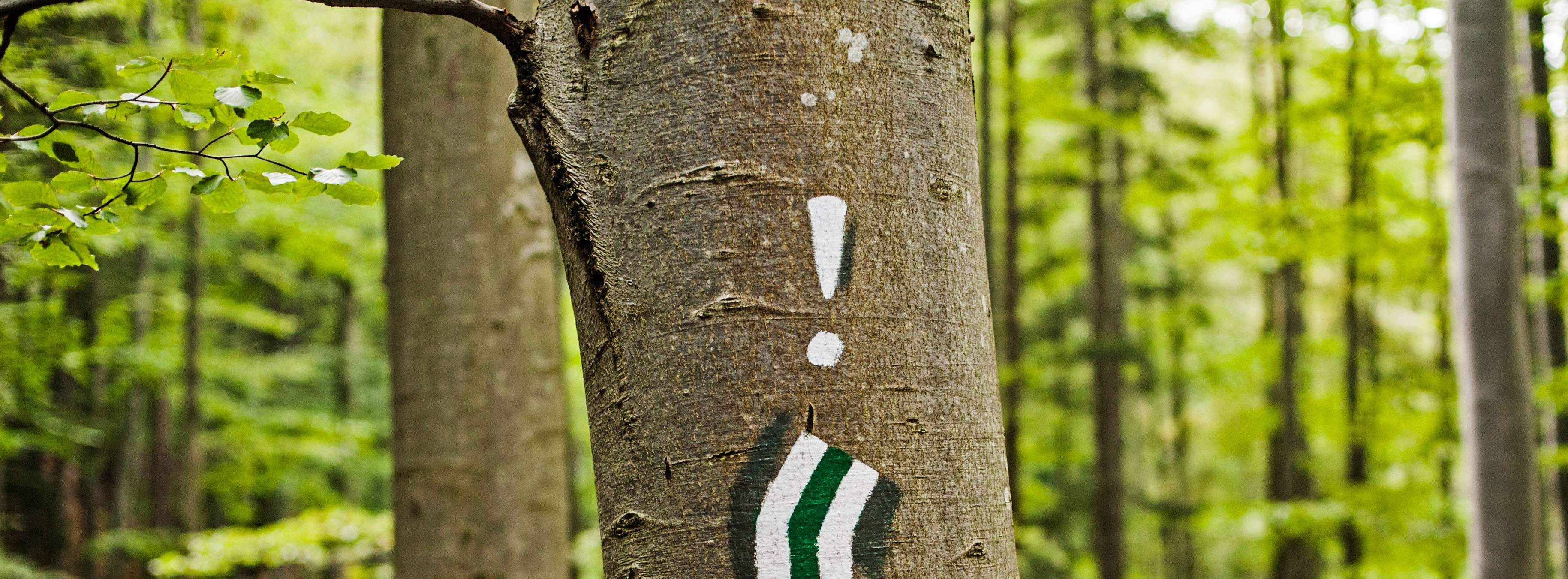 エクスクラメーションマーク